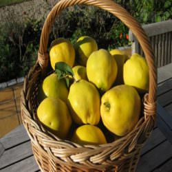 ekmek ayvası